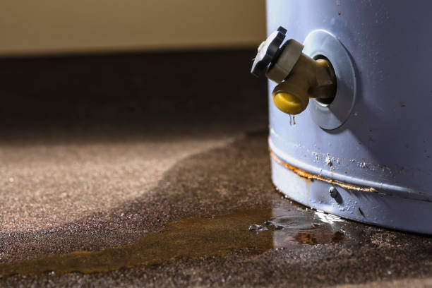 Best Water damage restoration process  in Dunsmuir, CA