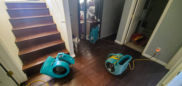 Best 24-hour water damage restoration  in Dunsmuir, CA
