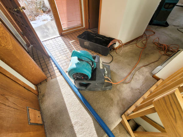 Best 24/7 water damage repair  in Dunsmuir, CA