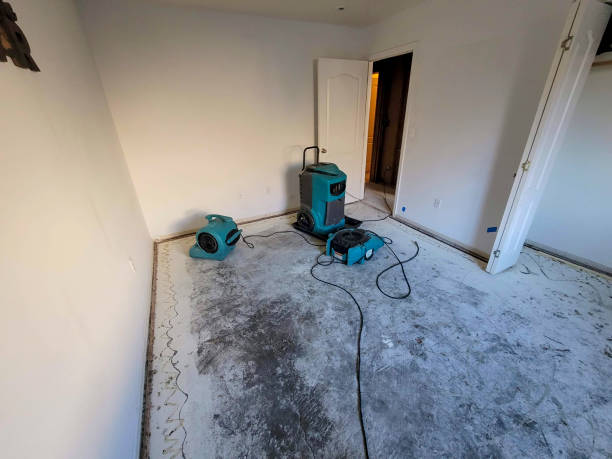 Best Water damage contractors near me  in Dunsmuir, CA