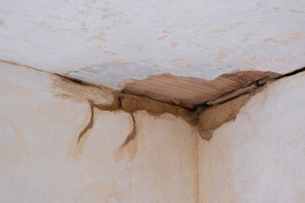 Water damage restoration mold remediation in Dunsmuir, CA