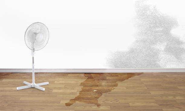 Best Water damage restoration cost  in Dunsmuir, CA