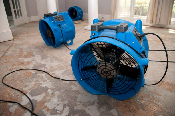 Best Commercial water damage restoration  in Dunsmuir, CA