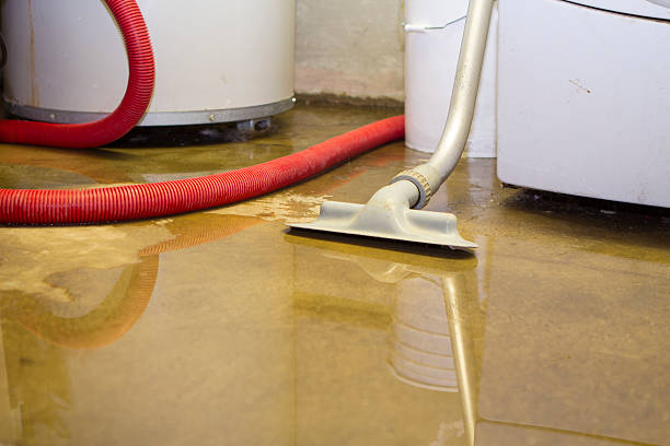Best Flood damage cleanup  in Dunsmuir, CA
