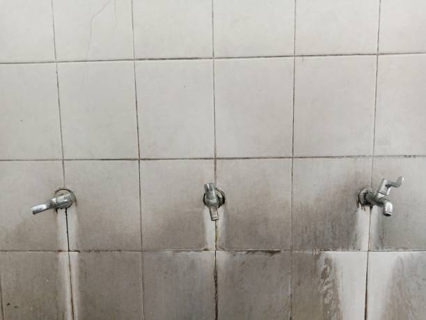 Best Basement water damage restoration  in Dunsmuir, CA