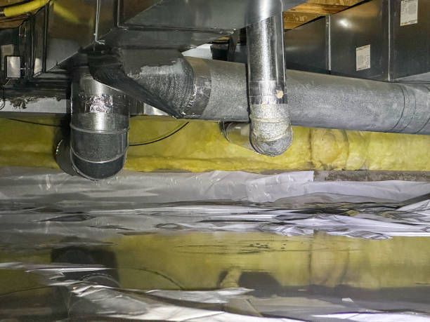 Best Water damage contractors near me  in Dunsmuir, CA